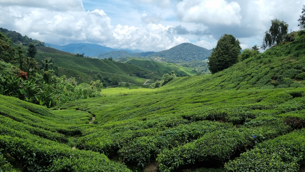 Malaysia / Singapur 2023