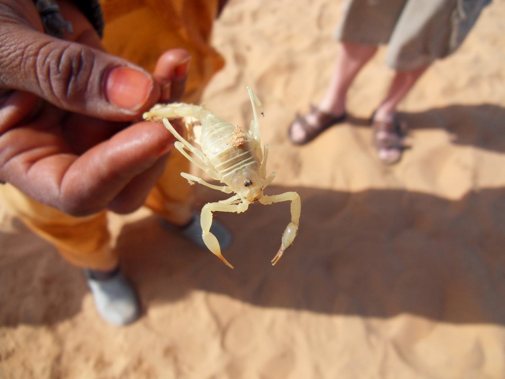 SAMSUNG DIGITAL CAMERA