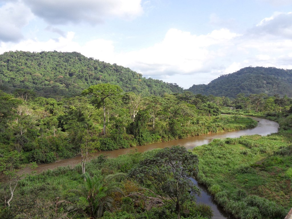 SAMSUNG DIGITAL CAMERA