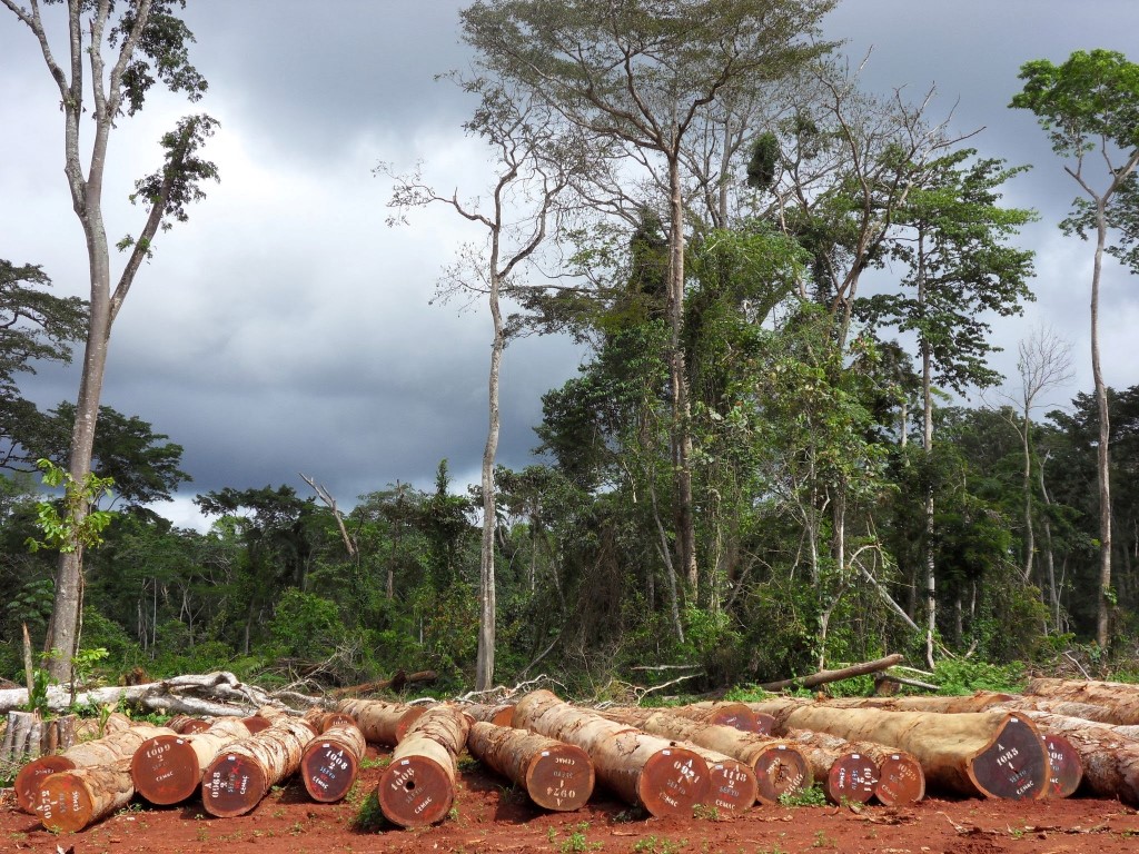 SAMSUNG DIGITAL CAMERA