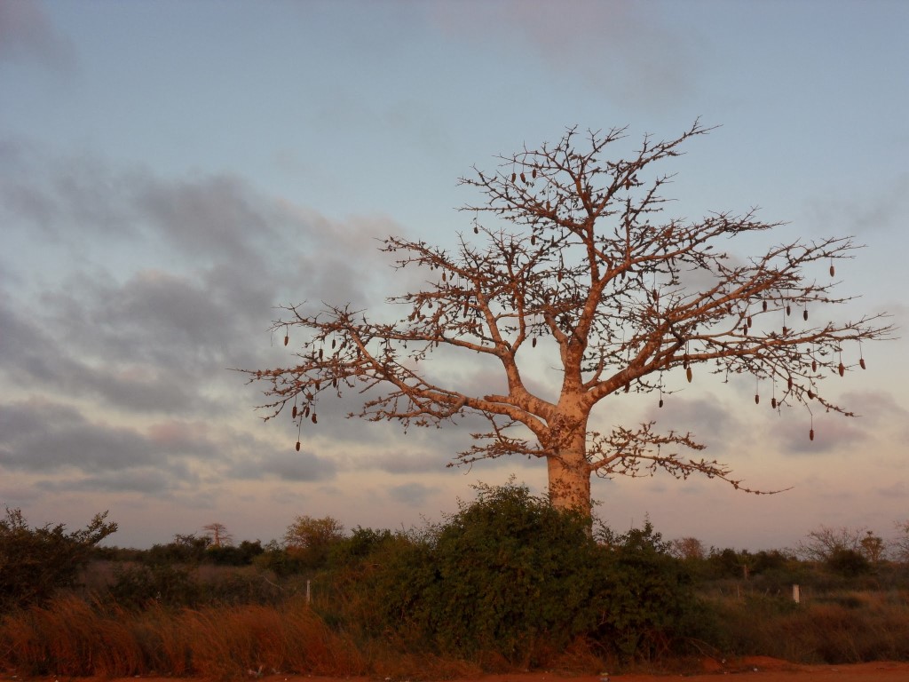 SAMSUNG DIGITAL CAMERA