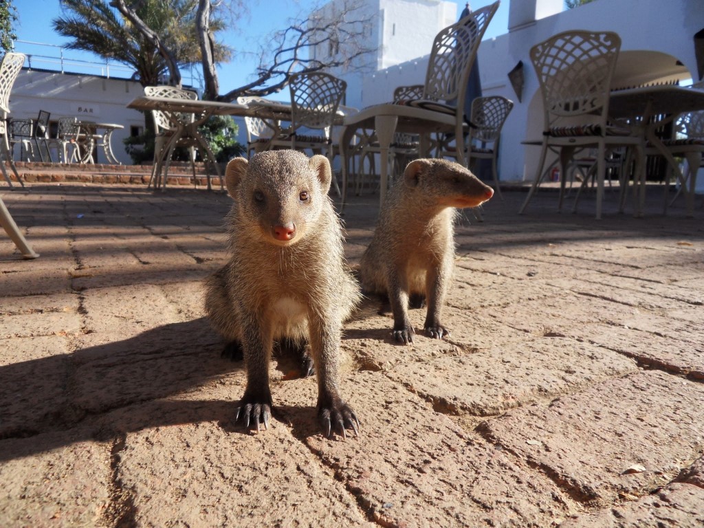 SAMSUNG DIGITAL CAMERA