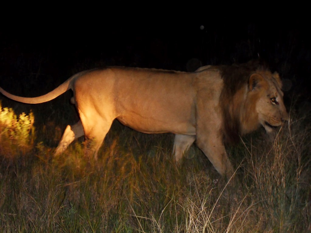 SAMSUNG DIGITAL CAMERA