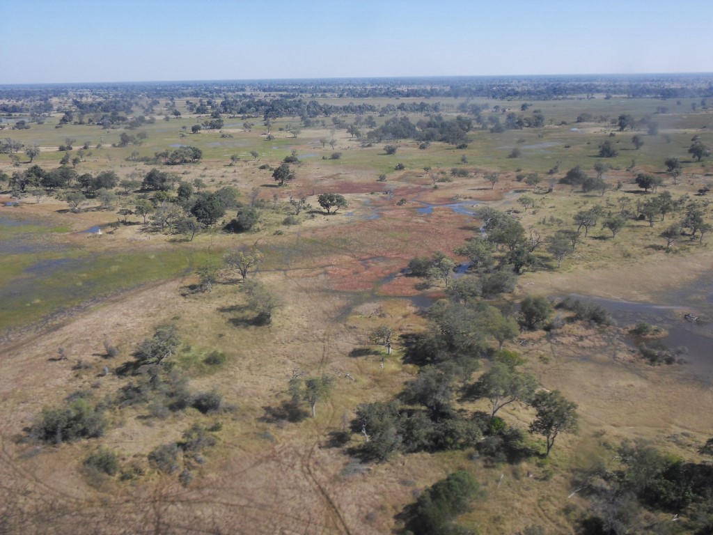 SAMSUNG DIGITAL CAMERA